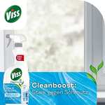 Viss Kraft + Glanz Reiniger Spray Glas & Flächen 750ml