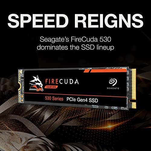 Seagate FireCuda 530 SSD + Rescue 1TB, M.2