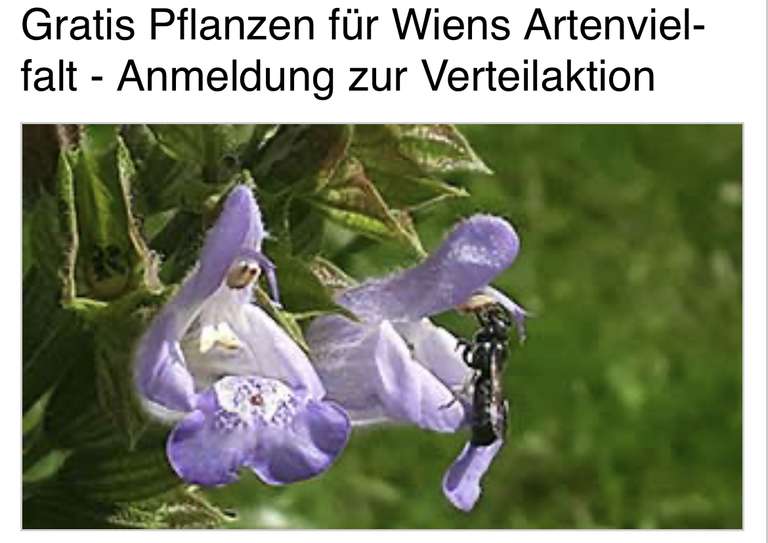 (Wien) Gratis Kräuter und Blumenerde am 1.6.2023 (vorherige Anmeldung notwendig)