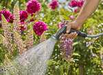 Gardena Ecoline Bewässerungsbrause