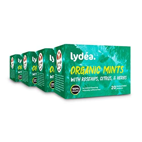 4x 20 Pyramiden-Beutel Lydea Bio-Kräutertee, Minze & Hagebutten
