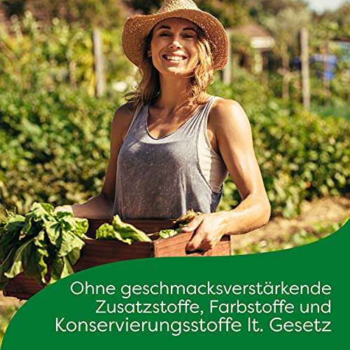 Knorr Asia Noodles Instant Nudeln Curry-Geschmack, 11 x 70g