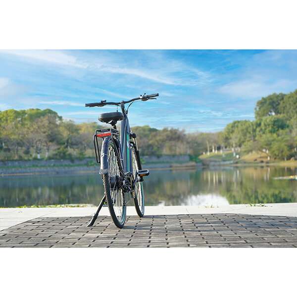 Doc. Green Manhattan Trekkingbike