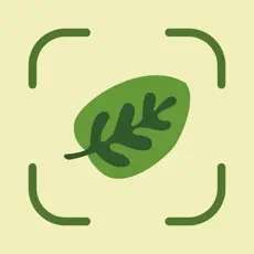 App Store: Leaf Identification - Pflanzenbestimmung (4,9*/5*)