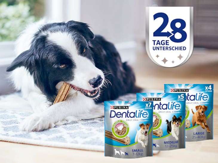 GRATIS Bis zu 7 Packungen DENTALIFE Zahnpflege-Snacks (max. €12) - Zufriedenheitsgarantie