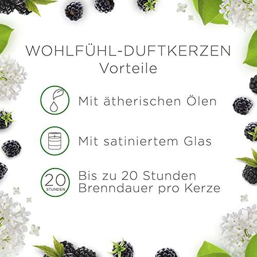 Air Wick Wohlfühl-Duftkerze im Glas – Duft: Brombeere und Holunderblüte – 6 x 105g