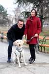 Gratis-Registrierungsaktion für Hunde in Wien
