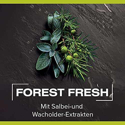 6x 250ml Palmolive Men Duschgel "Forest Fresh"