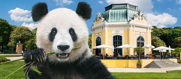 [jö] -10% auf eine Jahreskarte für Erwachsene für den Tiergarten Schönbrunn für 50 Ös