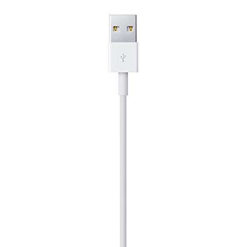 Apple Lightning auf USB Kabel (1 m)