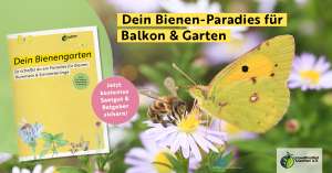 Gratis Blumensamen und Ebook "Dein Bienengarten"