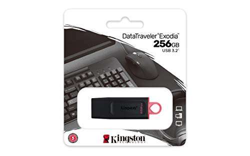 Kingston DataTraveler Exodia DTX/256GB USB-Stick 3.2 Gen 1
