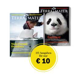 10 Ausgaben Terra Mater für 10€