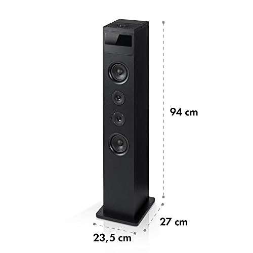 Auna Karaboom 100 Karaoke Anlage mit integriertem CD-Player, Bluetooth, 2 x Mikrofon, USB-Port, MP3-fähig, AUX-IN