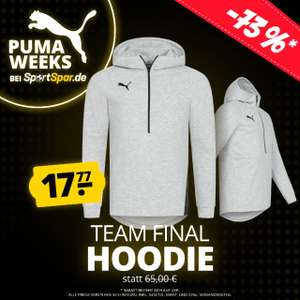 PUMA teamFINAL Casuals Hoody Herren Kapuzen Sweatshirt