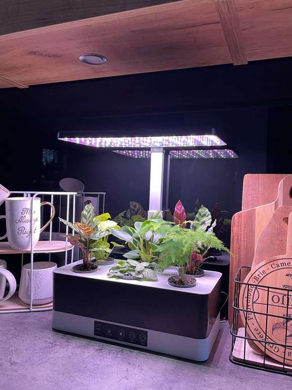 LEDVANCE Indoor Garden KIT PRO Anzuchtsystem 36cm Inkl. Pflanzenlicht 220…240V 24W / 3600K