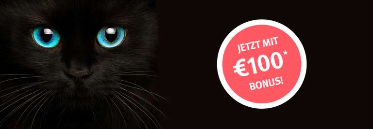 Für die Eröffnung eines Depots bei der Hello bank! belohnt Sie unsere Black Cat mit 100 Euro