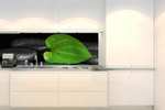 DIMEX selbstklebende Küchenrückwand Folie Grünes Blatt Spa 180x60cm