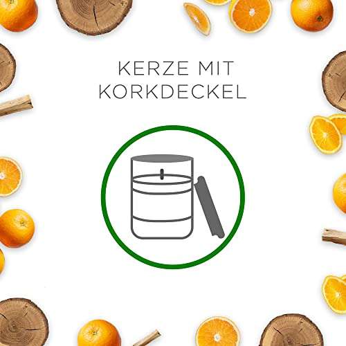 Air Wick Duft-Stimmungskerze "Orangenschale & Guajakholz"