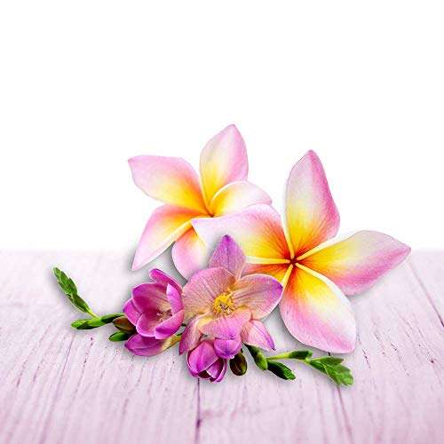 Air Wick Wohlfühl-Duftkerze im Glas – Duft: Blumenwiese – Enthält natürliche ätherische Öle – 6 x Duftkerze in rosa