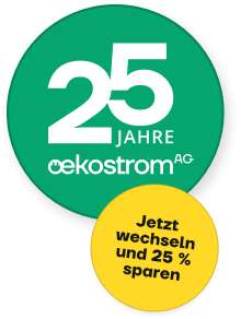 Flow1 8,29 brutto Cent/kWh Arbeitspreis monatlich angepasst an den Börsenpreis 25 EURO Werbebonus KEINE Bindung