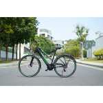 Doc. Green Manhattan Trekkingbike