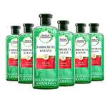 Herbal Essences PURE:renew Farbschutz & Glanz, Sulfatfreies Shampoo Mit Aloe + Mango, 6x 225ml