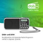 TechniSat VIOLA 3 – portables DAB Radio (DAB+, UKW, LCD Display, Kopfhöreranschluss, USB, Aux-In, LED Taschenlampe, Akku)